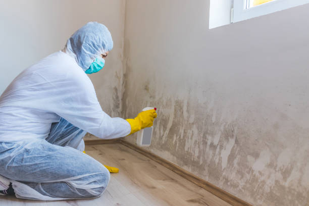 Licensed Commercial Mold Remediation service in Peachtree Corners, GA - WQB Mold Removal