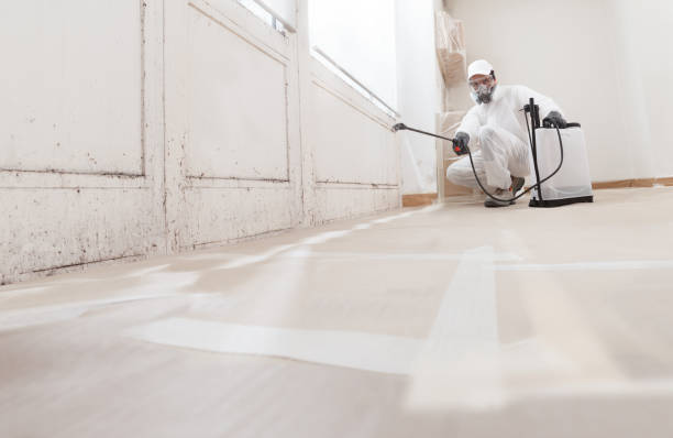 24/7 Emergency Commercial Mold Remediation experts in Peachtree Corners, GA
