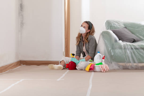 Reliable Commercial Mold Remediation contractor in Peachtree Corners, GA by WQB Mold Removal